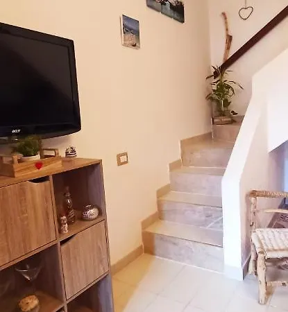 Jungle House * Capitana