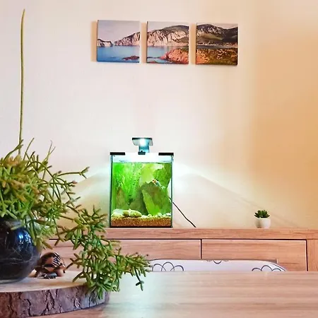 Jungle House Feriehus *